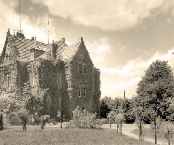 Villa Schöneck Efeu